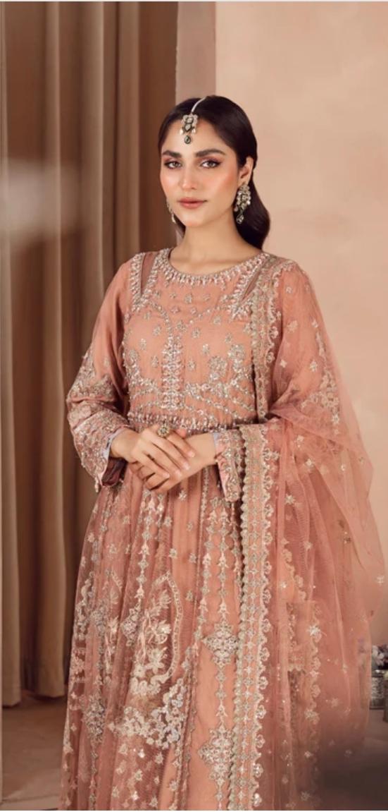 Bridal wear Dress | Soft organza Luxury