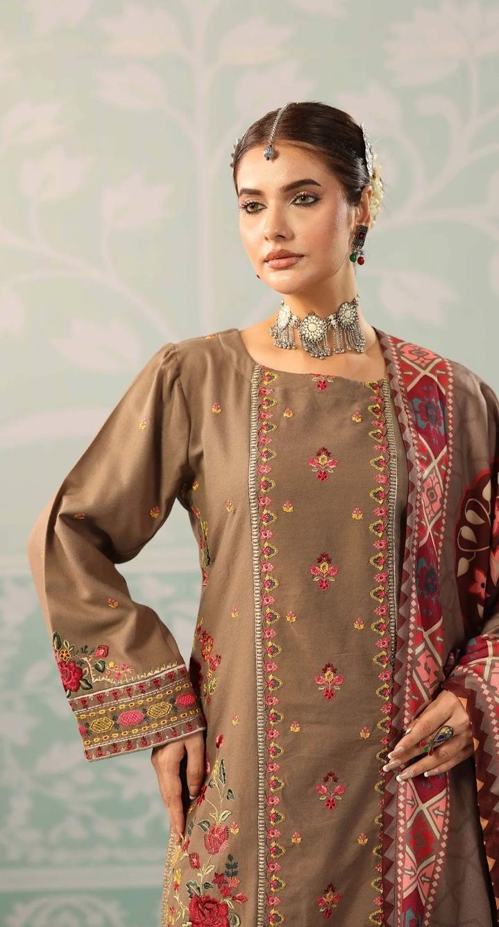 Dhanak Luxury Salwar Kameez: Pakistani Wedding Guest Outfit