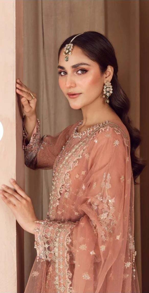 Bridal wear Dress | Soft organza Luxury