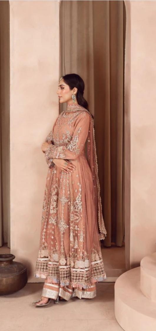 Bridal wear Dress | Soft organza Luxury