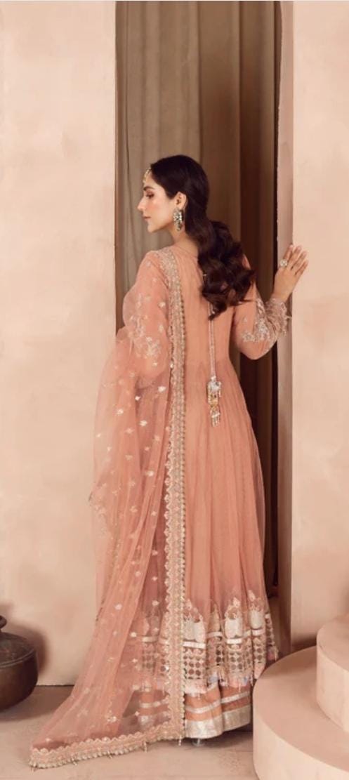 Bridal wear Dress | Soft organza Luxury