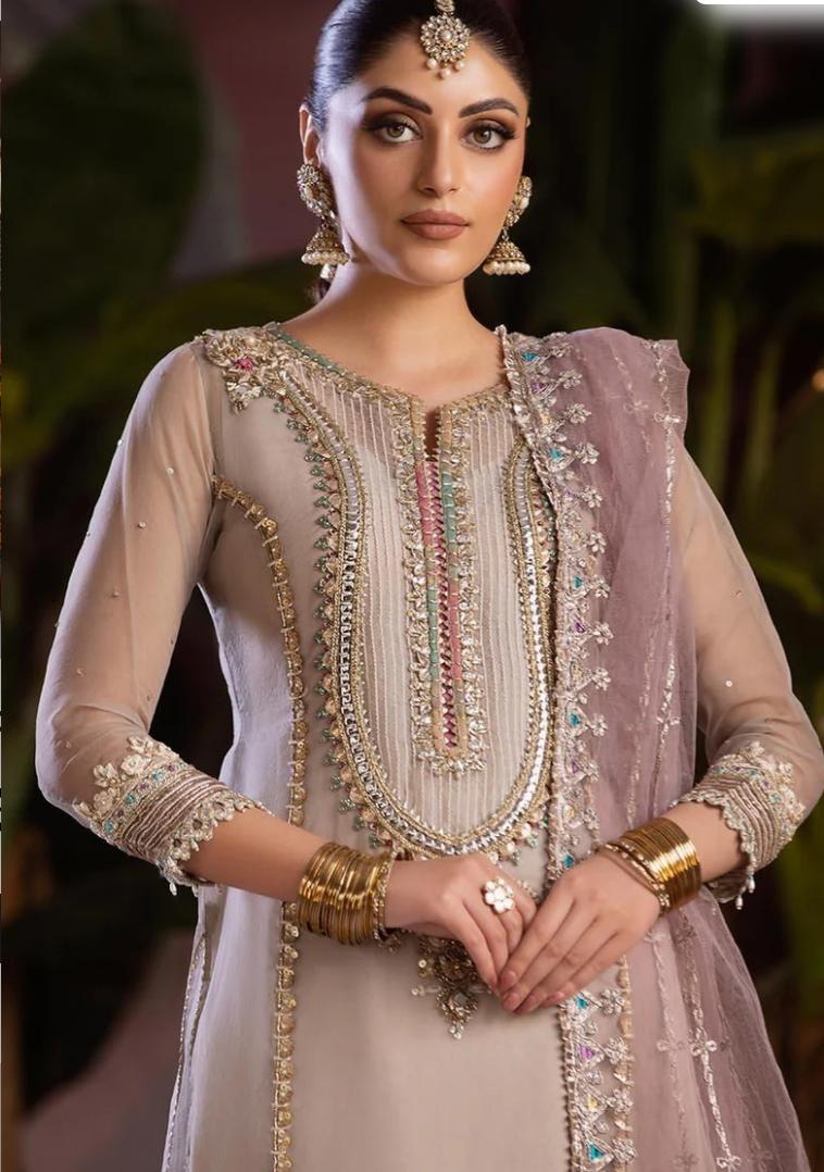 Khuda bakhsh Partywear | Soft organza Luxury